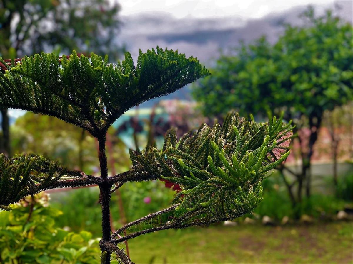 לינה וארוחת בוקר Solan Retreat מראה חיצוני תמונה